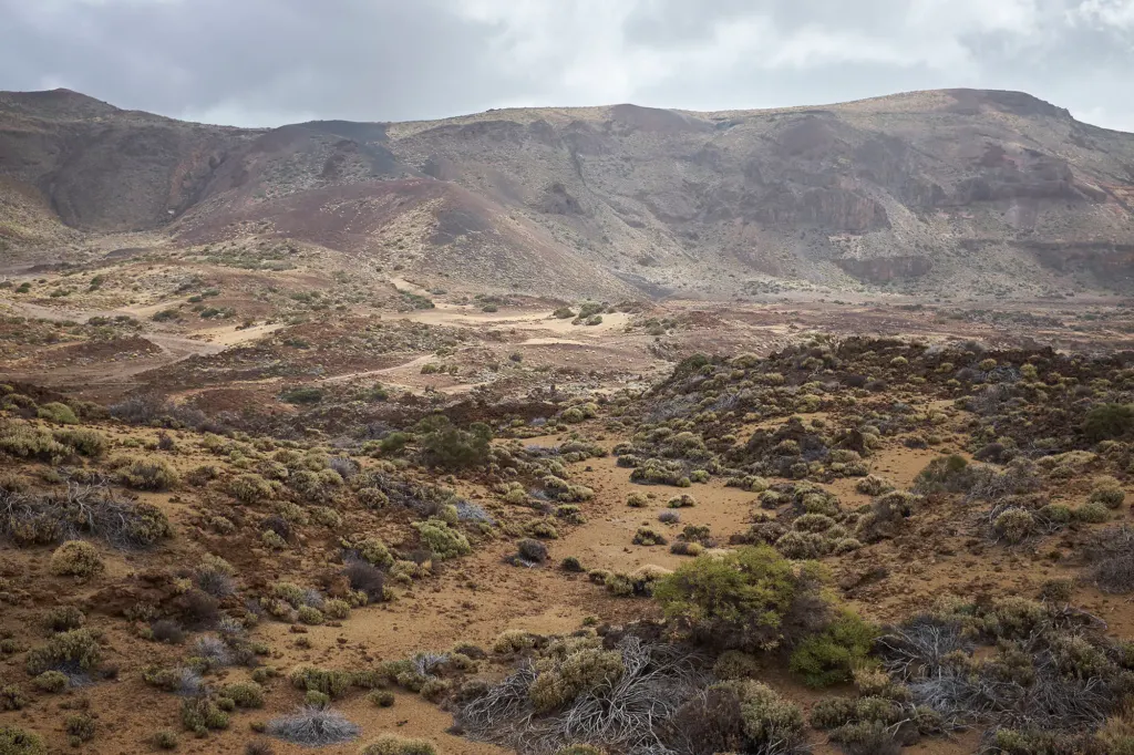 Las Canarias — landscape and travel photograph in Canary Islands, Spain, frame 15 of 28.